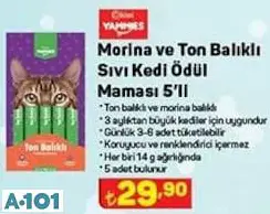 KİWİ YAMMİES MORİNA VE TON BALIKLI SIVI KEDİ ÖDÜL MAMASI 5'Lİ
